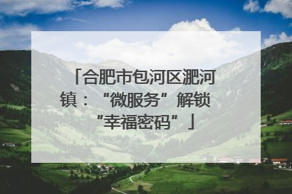 合肥市包河区淝河镇：“微服务”解锁“幸福密码”