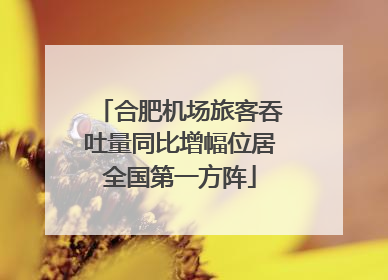 合肥机场旅客吞吐量同比增幅位居全国第一方阵