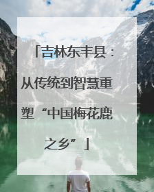 吉林东丰县：从传统到智慧重塑“中国梅花鹿之乡”