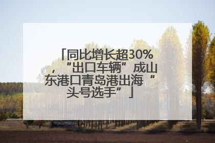 同比增长超30%，“出口车辆”成山东港口青岛港出海“头号选手”