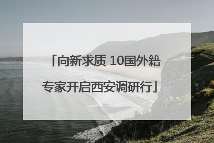 向新求质 10国外籍专家开启西安调研行