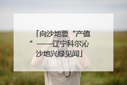 向沙地要“产值”——辽宁科尔沁沙地兴绿见闻