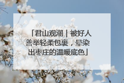 君山观潮｜被好人善举轻柔包裹，晕染出枣庄的温暖底色