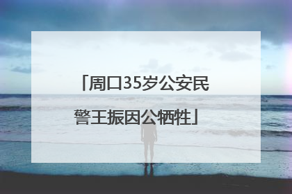 周口35岁公安民警王振因公牺牲