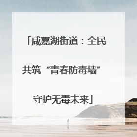 咸嘉湖街道：全民共筑“青春防毒墙” 守护无毒未来