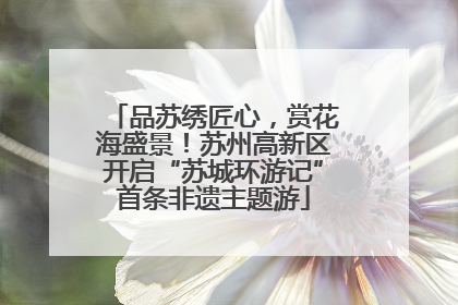 品苏绣匠心，赏花海盛景！苏州高新区开启“苏城环游记”首条非遗主题游