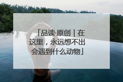 品读·原创｜在这里，永远想不出会遇到什么动物