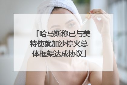哈马斯称已与美特使就加沙停火总体框架达成协议