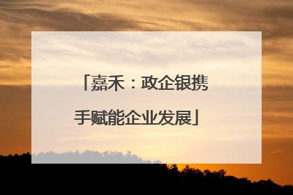 嘉禾：政企银携手赋能企业发展