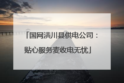 国网潢川县供电公司：贴心服务麦收电无忧
