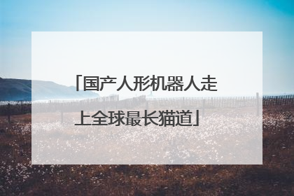 国产人形机器人走上全球最长猫道