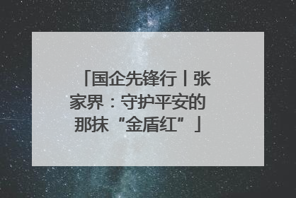 国企先锋行丨张家界：守护平安的那抹“金盾红”