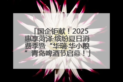 国企钜献！2025惠享菏泽·缤纷夏日消费季暨“华瑞·华小粮”青岛啤酒节启幕！