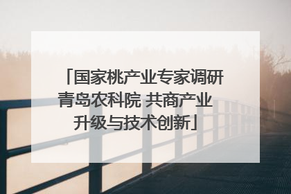 国家桃产业专家调研青岛农科院 共商产业升级与技术创新