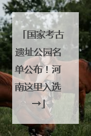国家考古遗址公园名单公布！河南这里入选→