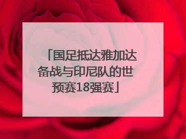 国足抵达雅加达备战与印尼队的世预赛18强赛