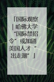 国际观察｜哈佛大学“国际禁招令”或加剧美国人才“出走潮”