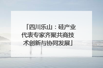 四川乐山：硅产业代表专家齐聚共商技术创新与协同发展