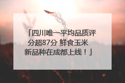 四川唯一平均品质评分超87分 鲜食玉米新品种在成都上线！
