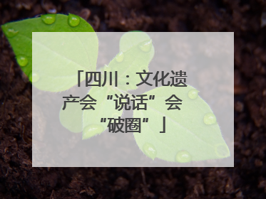 四川：文化遗产会“说话”会“破圈”