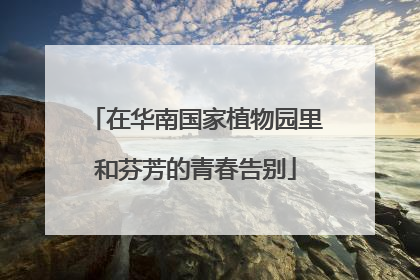 在华南国家植物园里和芬芳的青春告别