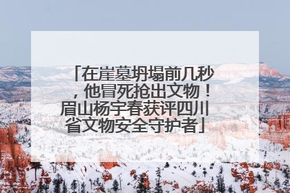在崖墓坍塌前几秒，他冒死抢出文物！眉山杨宇春获评四川省文物安全守护者