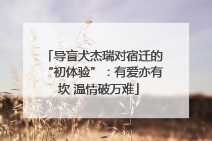 导盲犬杰瑞对宿迁的“初体验”：有爱亦有坎 温情破万难