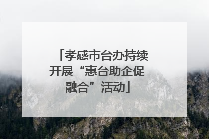 孝感市台办持续开展“惠台助企促融合”活动