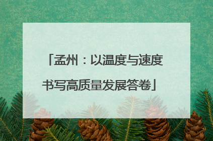 孟州：以温度与速度书写高质量发展答卷