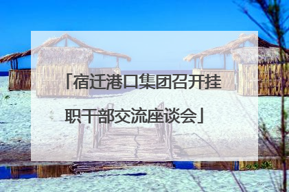 宿迁港口集团召开挂职干部交流座谈会