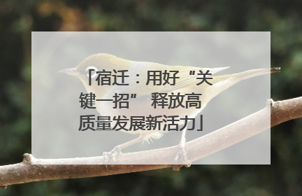 宿迁：用好“关键一招” 释放高质量发展新活力