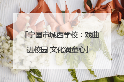宁国市城西学校：戏曲进校园 文化润童心