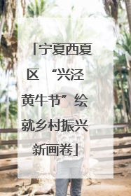 宁夏西夏区 “兴泾黄牛节”绘就乡村振兴新画卷