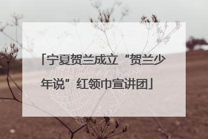 宁夏贺兰成立“贺兰少年说”红领巾宣讲团