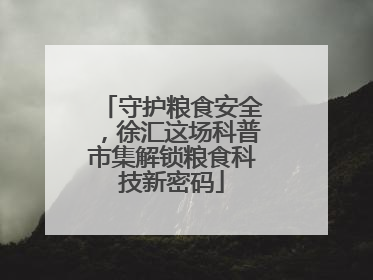 守护粮食安全，徐汇这场科普市集解锁粮食科技新密码