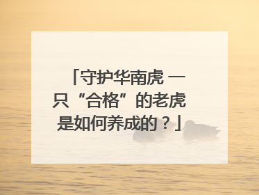 守护华南虎 一只“合格”的老虎是如何养成的？