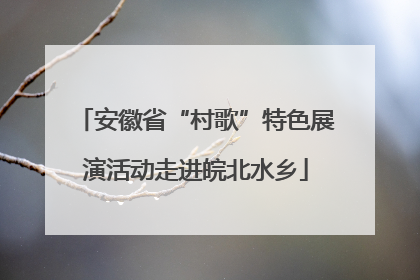 安徽省“村歌”特色展演活动走进皖北水乡