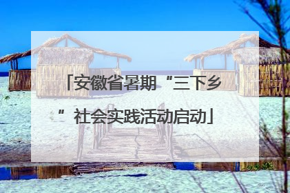安徽省暑期“三下乡”社会实践活动启动