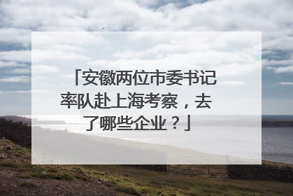 安徽两位市委书记率队赴上海考察，去了哪些企业？