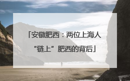 安徽肥西：两位上海人“链上”肥西的背后