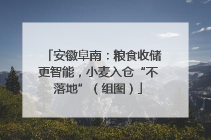 安徽阜南：粮食收储更智能，小麦入仓“不落地”（组图）