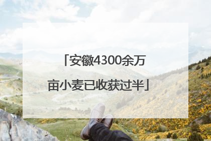 安徽4300余万亩小麦已收获过半