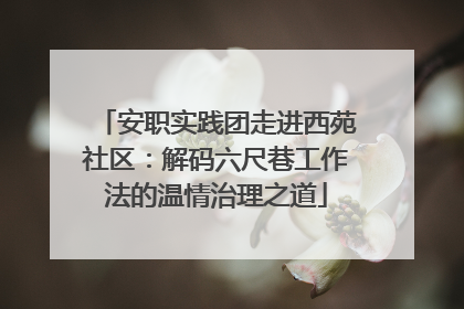 安职实践团走进西苑社区：解码六尺巷工作法的温情治理之道