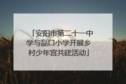 安阳市第二十一中学与磊口小学开展乡村少年宫共建活动