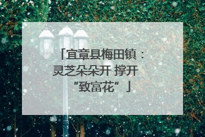 宜章县梅田镇：灵芝朵朵开 撑开“致富花”