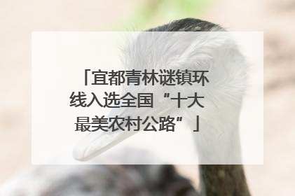 宜都青林谜镇环线入选全国“十大最美农村公路”