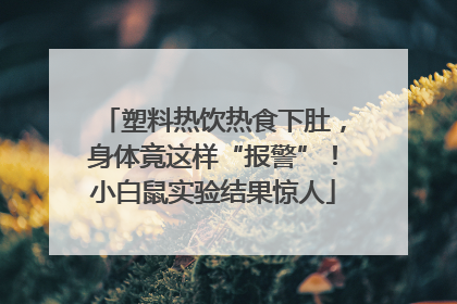 塑料热饮热食下肚，身体竟这样“报警”！小白鼠实验结果惊人