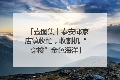 壹图集丨泰安邱家店镇收忙，收割机“穿梭”金色海洋