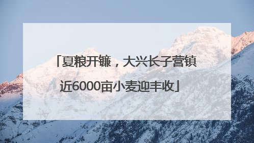 夏粮开镰，大兴长子营镇近6000亩小麦迎丰收