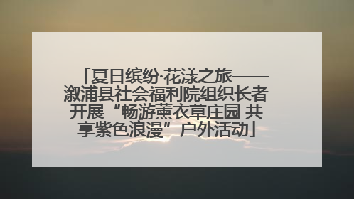 夏日缤纷·花漾之旅——溆浦县社会福利院组织长者开展“畅游薰衣草庄园 共享紫色浪漫”户外活动